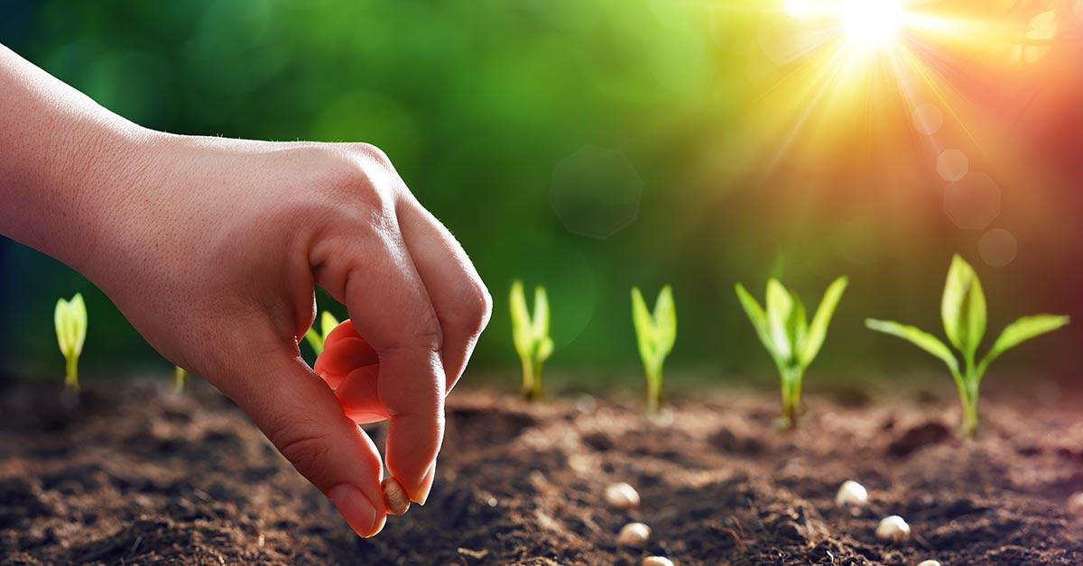 🌱 5 Easy Steps to Start Your Home Garden This Season - Cover Image